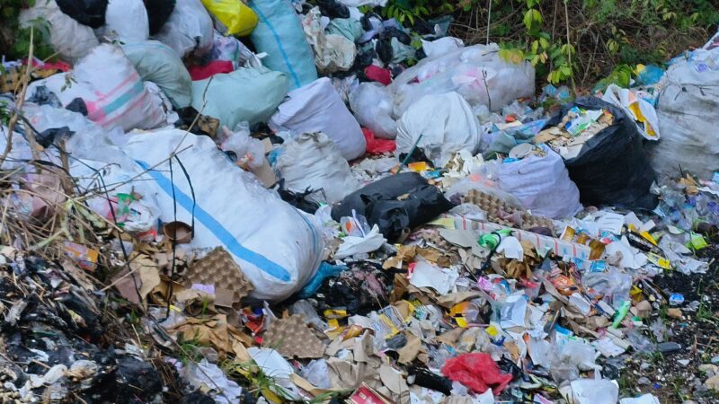 Bekas Galian Tol di Pal 6 Lampung Selatan Jadi TPA Ilegal, Warga Geram Sampah Menggunung
