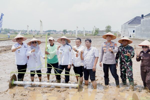 Pemprov Lampung Perkuat Pertanian Modern, Tingkatkan Produktivitas dan Pendapatan Petani