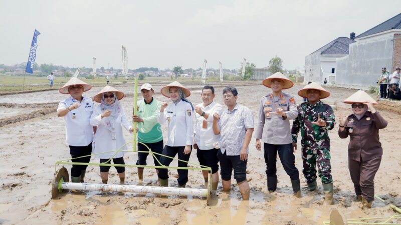 Pemprov Lampung Perkuat Pertanian Modern, Tingkatkan Produktivitas dan Pendapatan Petani