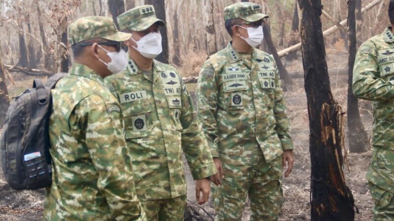 Dampingi Kepala BNPB, Kasrem 043/Gatam Tinjau Karhutla & Kawal Keselamatan Ekosistem Way Kambas