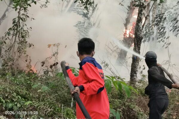 Dua Titik Karhutla di Tulang Bawang dan Lamteng Terkendali
