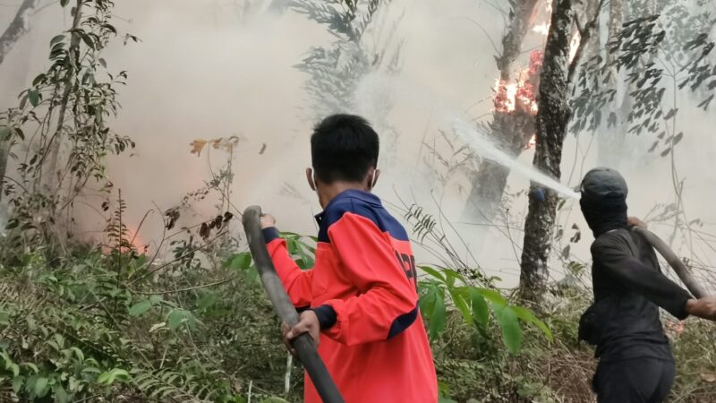 Dua Titik Karhutla di Tulang Bawang dan Lamteng Terkendali