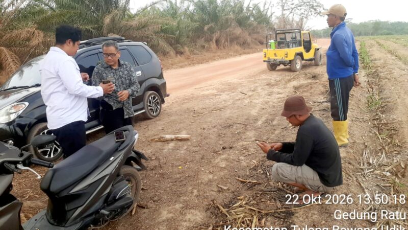 DLH Tubaba Sidak Lahan Tebu Pasca Panen di Tulang Bawang Udik