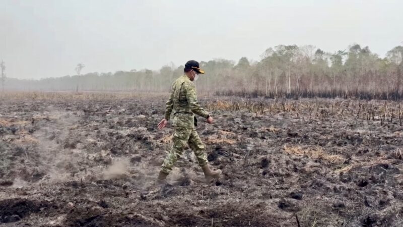 Ke Lampung, Kepala BNPB Tinjau Langsung Penanganan Karhutla Way Kambas